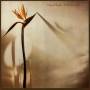 New Musik - From A To B
