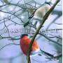 WINTER FOLK - Winter Folk