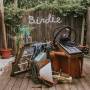 Dog Slaughter Beach - Birdie