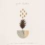 Yndi Halda - A Sun Coloured Shaker