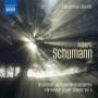 Klavierduo Eckerle - Orchester-und Kammermusikwerke fr Klavier