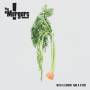The Mergers - With A Carrot And A Stick