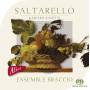 Ensemble Braccio - Saltarello