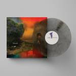 Sharon Van Etten - WE'VE BEEN GOING ABOUT THIS ALL WRONG-Ltd.Col.V