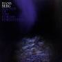 Hans Berg - Sounds Of The Forest Forgotten