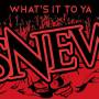 Snew - What's It To Ya