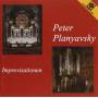 Peter Planyavsky - Improvisationen In Brixen & Bremen