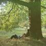john Lennon - Plastic Ono Band (Dlx. 2LP)