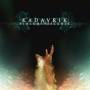 Kadavrik - Bioluminescence