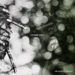 Orsak: Oslo - Skimmer/vemod