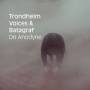Trondheim Voices & Batagraf - On Anodyne
