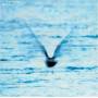 Ryo Fukui - Mellow Dream (LP standard)