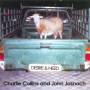 Charlie Collins & John Jasnoch - Desire & Need