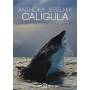 Anthony Jeselnik: Caligula (2pc) / (ws Dol) - Anthony Jeselnik: Caligula [US-Version, Regio 1]