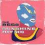 Bees - Sunshine Hit Me