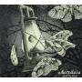 Australasia - Notturno