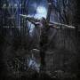 Nymf - From The Dark