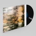 Avishai Cohen / Y. Avishai / B. Mori / Z. Ravitz - Ashes to Gold