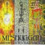 Meshuggah - Destroy Erase Improve
