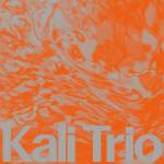 Kali Trio - The Playful Abstract (LP)