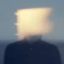 Forrests - Wilder