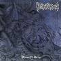 Necrovorous - Plains Of Decay (Black Vinyl)