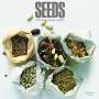 Sahib Shihab - Seeds