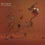 Malva Quartet - Wooden Bodies