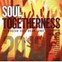 V / A - Soul Togetherness 2013