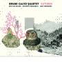 Bruno Quartet Calvo - Outlines
