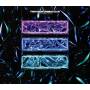 Two Door Cinema Club - Gameshow (Deluxe Edition)