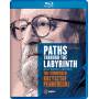 Various - Paths through the Labyrinth [Regio free (0)]