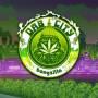 Bongzilla - Dab City (LTD. Neon Green Vinyl)