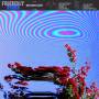 Friendly Fires - Inflorescent (Vinyl)