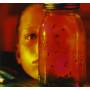 Alice In Chains - JAR OF FLIES
