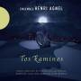 Henri Agnel - Los Kaminos