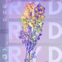 Ryd - Ryd