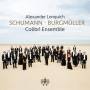 Alexander Lonquich - Schumann-Burgmller