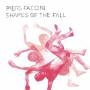 Piers Faccini - Shapes Of The Fall