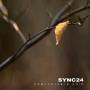 Sync 24 - Comfortable Void