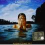 Ligabue - Fuori Come Va?