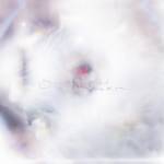 Glixen - SHE ONLY SAID (Ltd. Fruit Punch Vinyl)