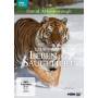 David Attenborough (Presenter) - David Attenborough:Das Leben Der Sugetiere [DE-Version, Regio 2/B]