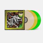 King Gizzard & The Lizard Wizard - Acoustic Gizzard - Live in Detroit 2024