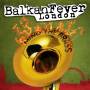V / A - Balkan Fever London