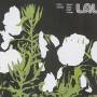 Lal - Warm Belly High Power