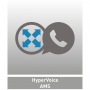 Agfeo Hypervoice - Agfeo HyperVoice Funktionslizenz AMS