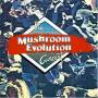 Mushroom Evolution Concert - Mushroom Evolution Concert