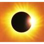 Placebo - Battle For The Sun