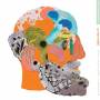 Le Ton Mite - Passe compose futur conditionnel